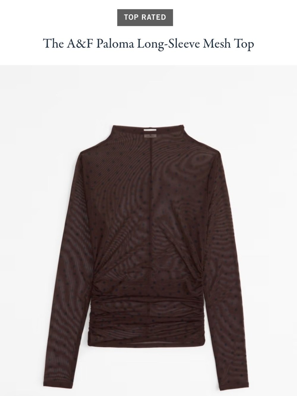Abercrombie & Fitch Brown Sheer Polka-Dot Long-Sleeve Mesh Top